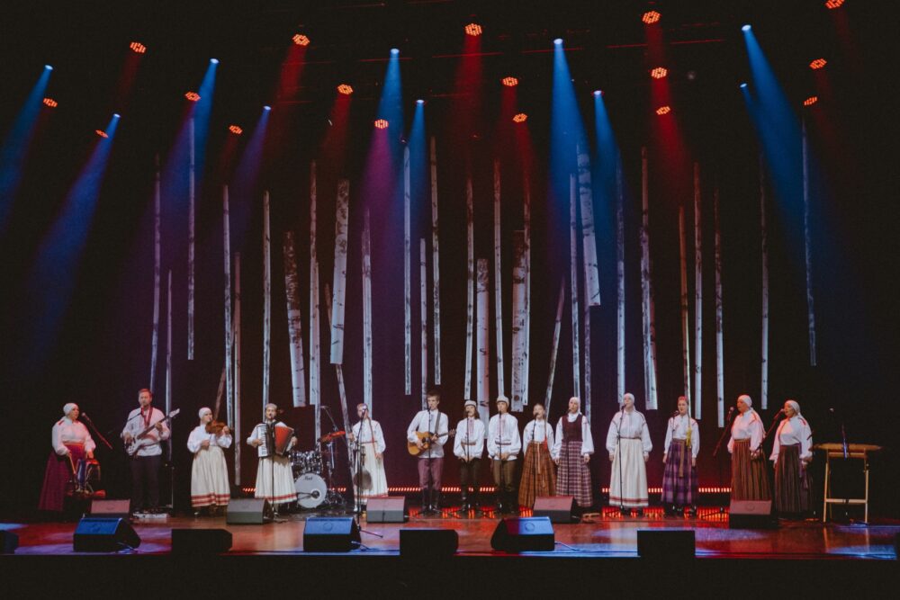 Zīmeļlatgolys dzīsme ir drūšeibā