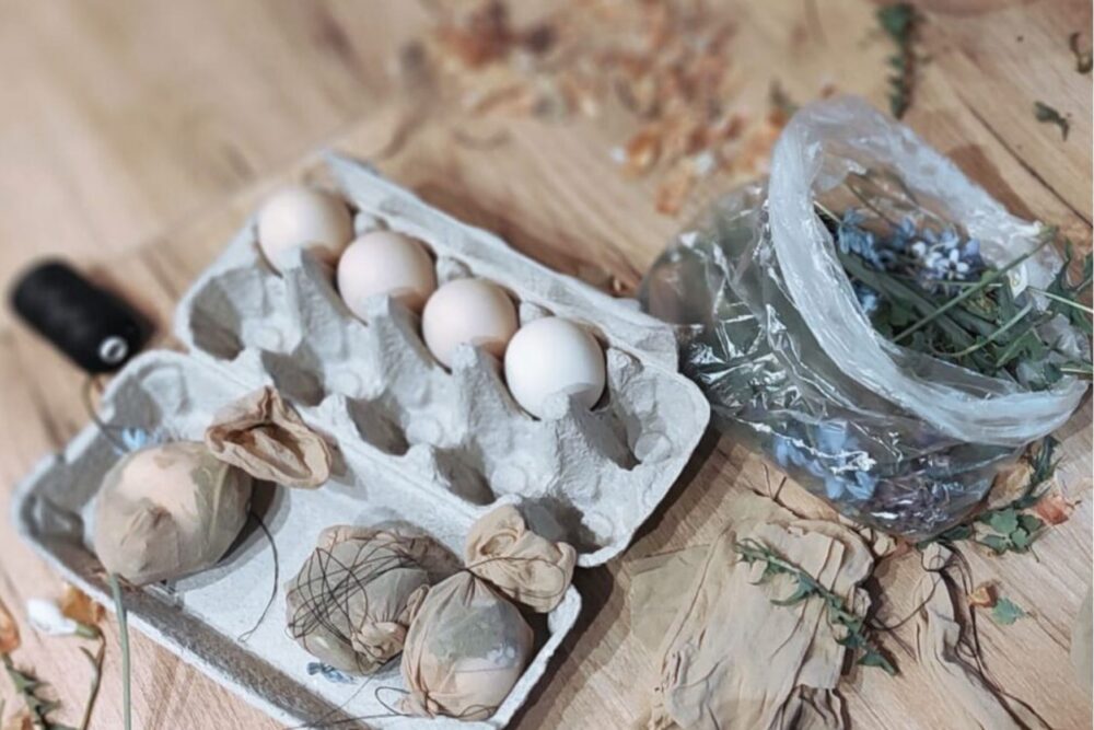 Ūlys kruosuot tradicionali voi myusdīneigi? Idejis i receptis kotrai saimei