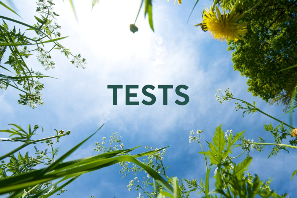 TESTS: kū tu zyni par vosoru Latgolā?