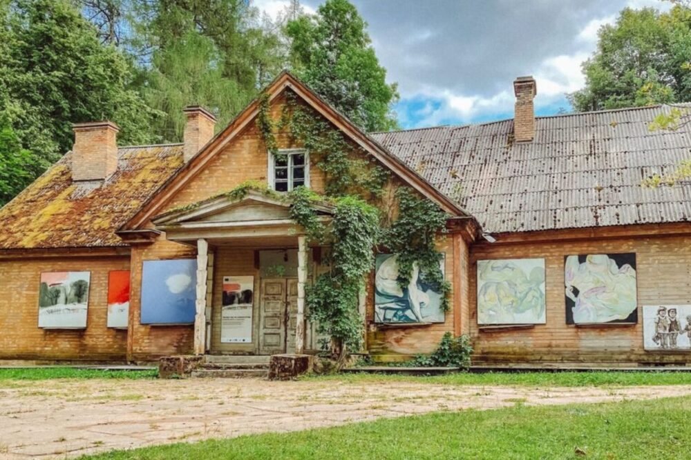 Nūdūt aizmiersteibai ci nazcik reflekseju par Lūznovys muižys kūka školys projektu